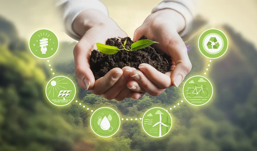 AdobeStock_370547954